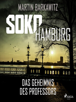 Das Geheimnis des Professors - Audiobook